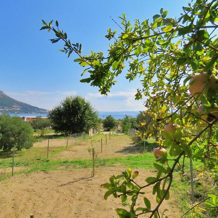 Seaside Apartment Omis Bagian luar foto
